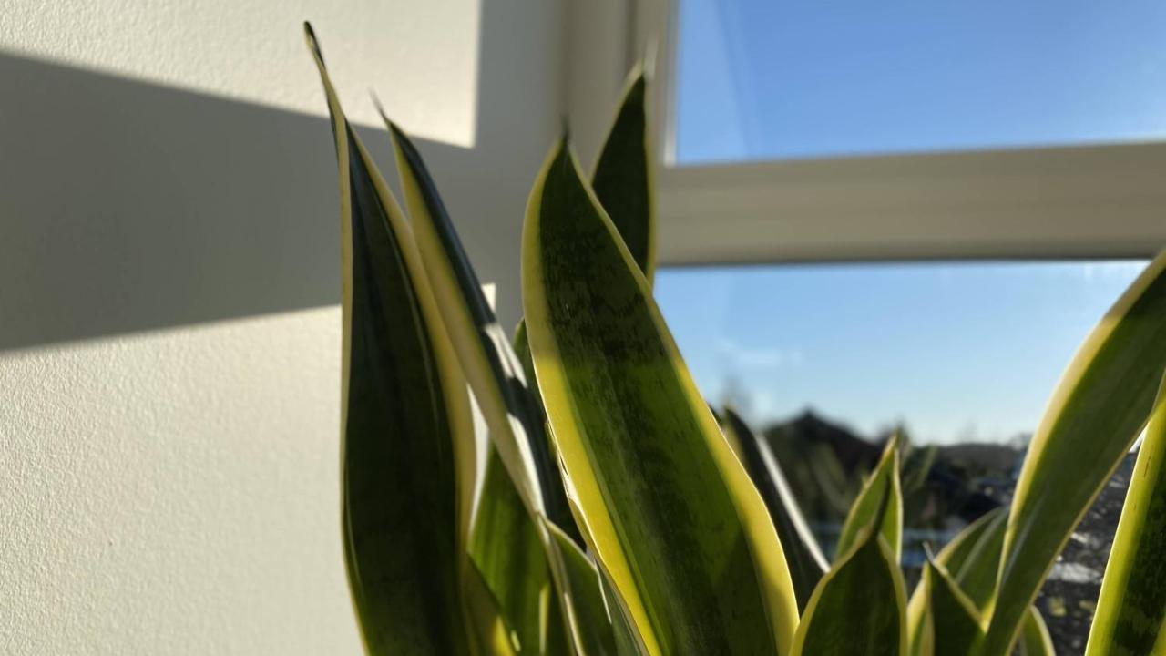 Villa Soholt - Silkeborg Bed And Breakfast Екстериор снимка